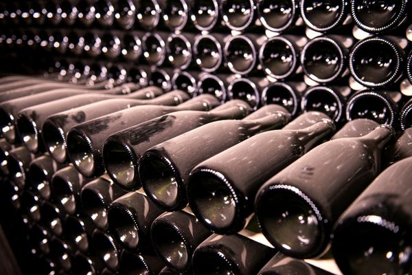 stocker 100 bouteilles chez soi : c'est possible avec une cave à vin grande capacité 100 bouteilles