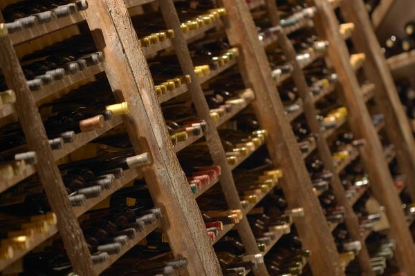 très grande cave à vin électrique