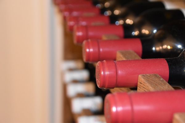 comment choisir une cave à vin 16 bouteilles ?